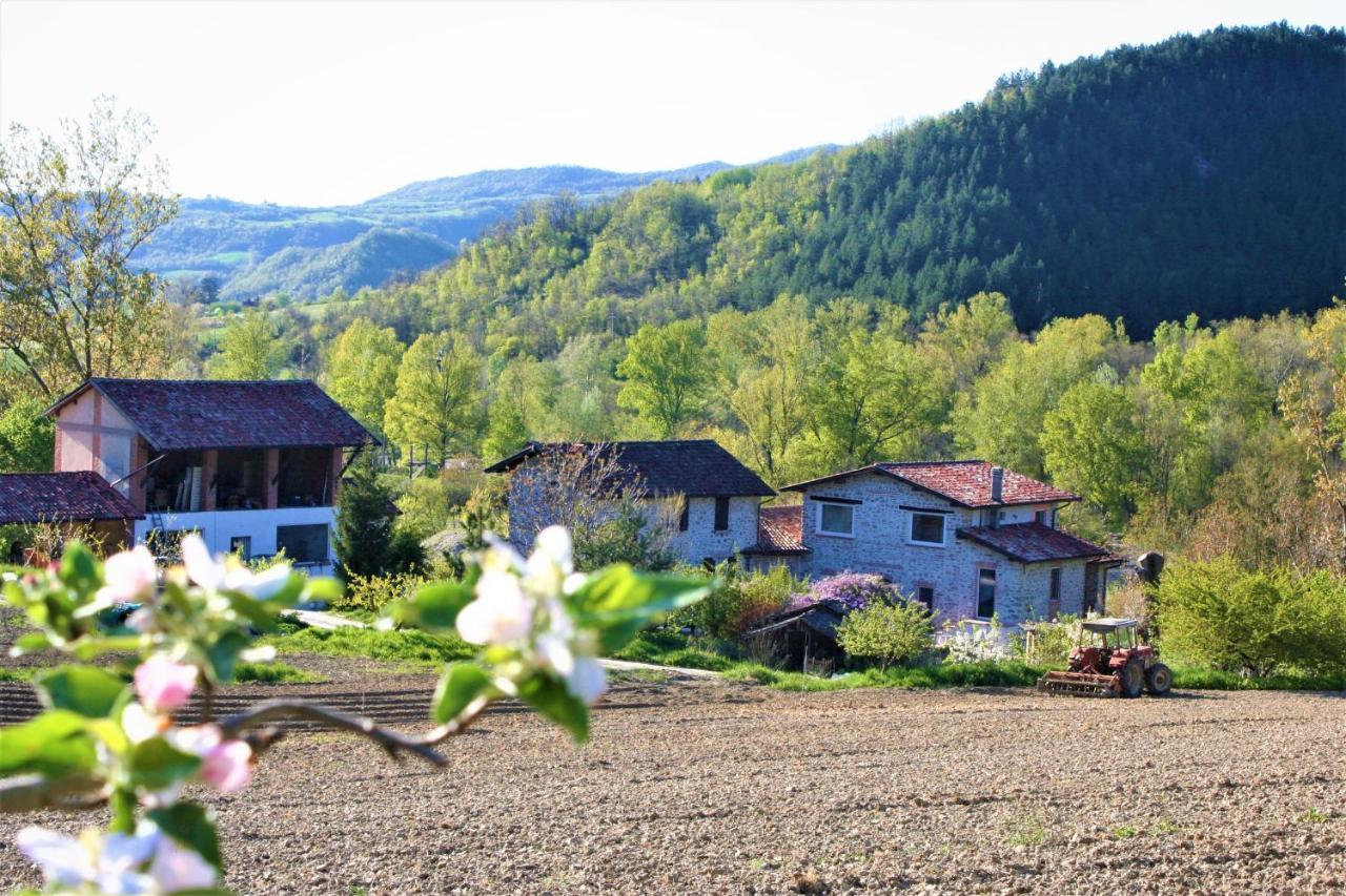 Agriturismo Malvista Villa San Sebastiano Curone Eksteriør billede