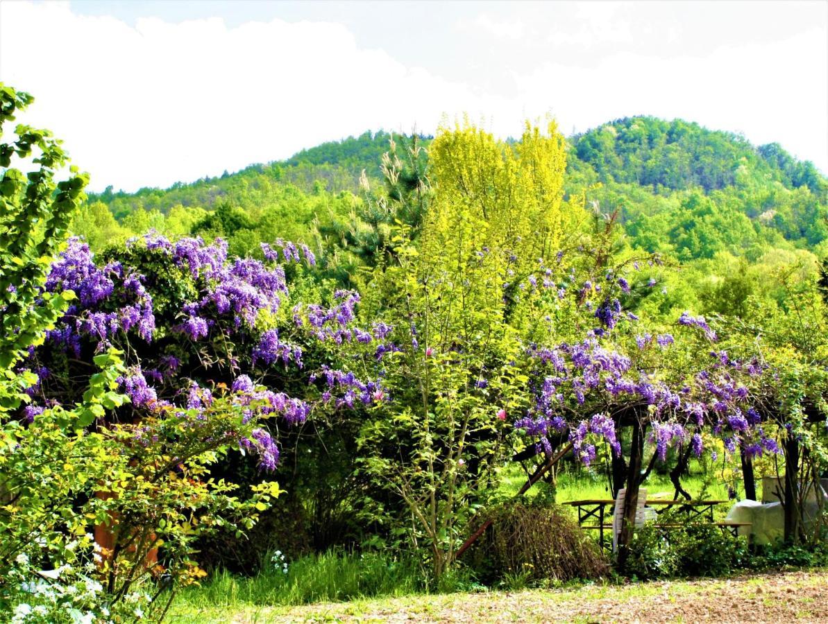 Agriturismo Malvista Villa San Sebastiano Curone Eksteriør billede