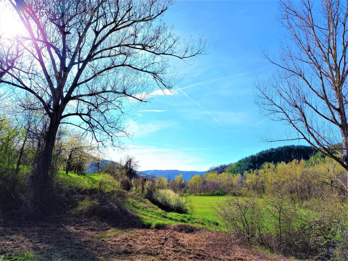 Agriturismo Malvista Villa San Sebastiano Curone Eksteriør billede