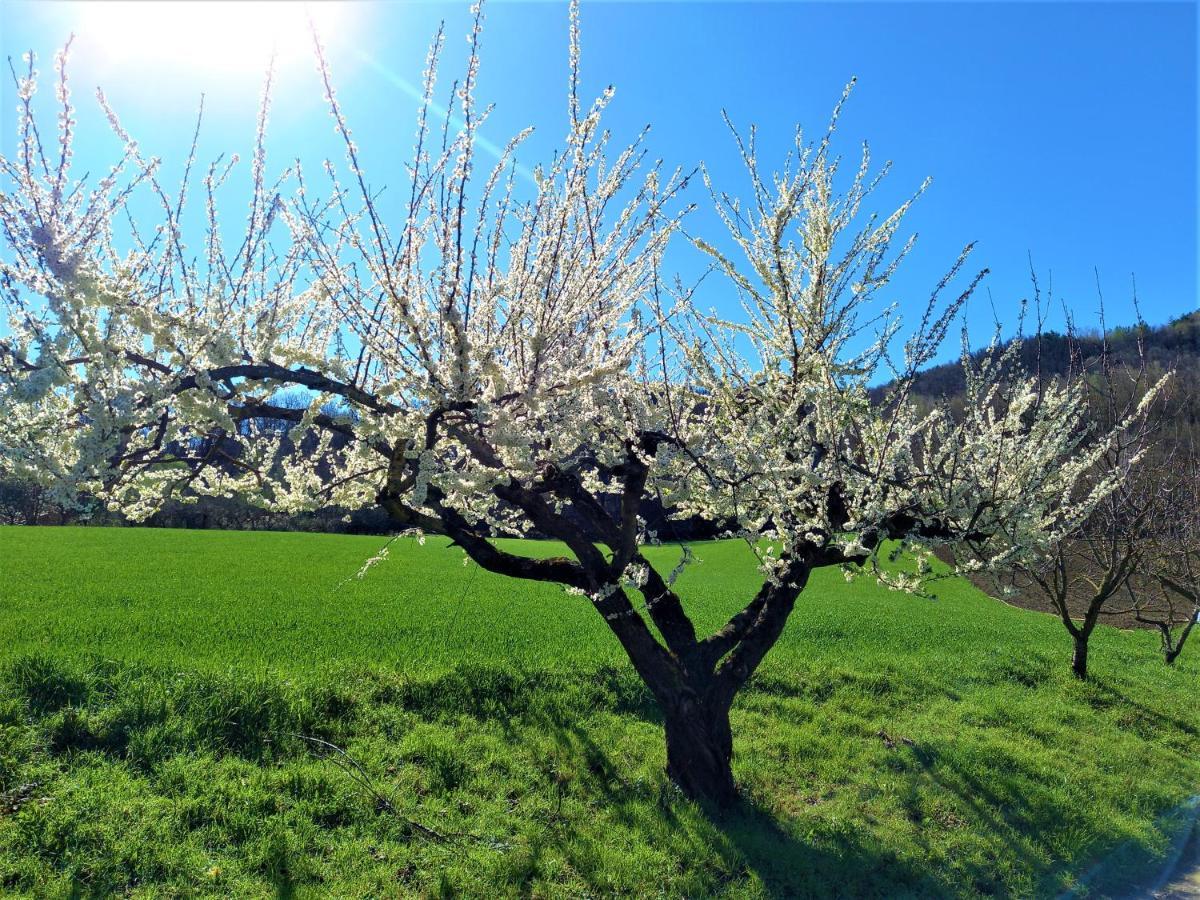 Agriturismo Malvista Villa San Sebastiano Curone Eksteriør billede