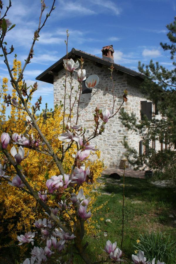 Agriturismo Malvista Villa San Sebastiano Curone Eksteriør billede