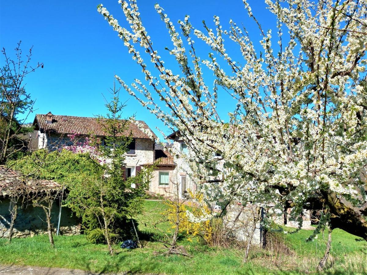 Agriturismo Malvista Villa San Sebastiano Curone Eksteriør billede