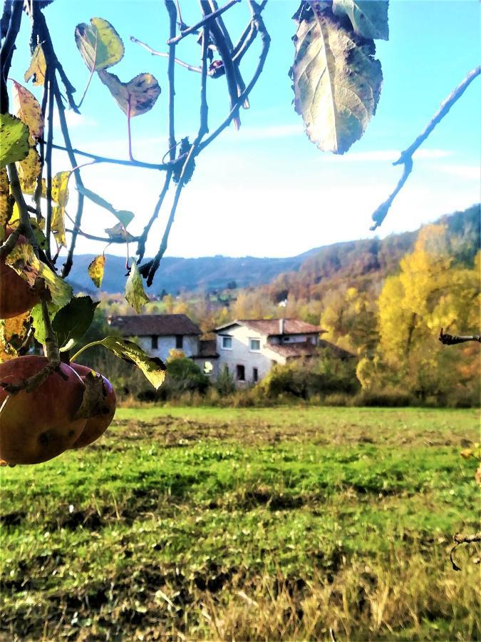 Agriturismo Malvista Villa San Sebastiano Curone Eksteriør billede